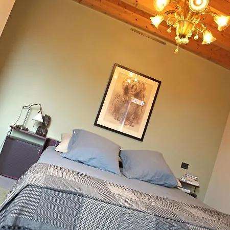 Shuttered Dreams Venice