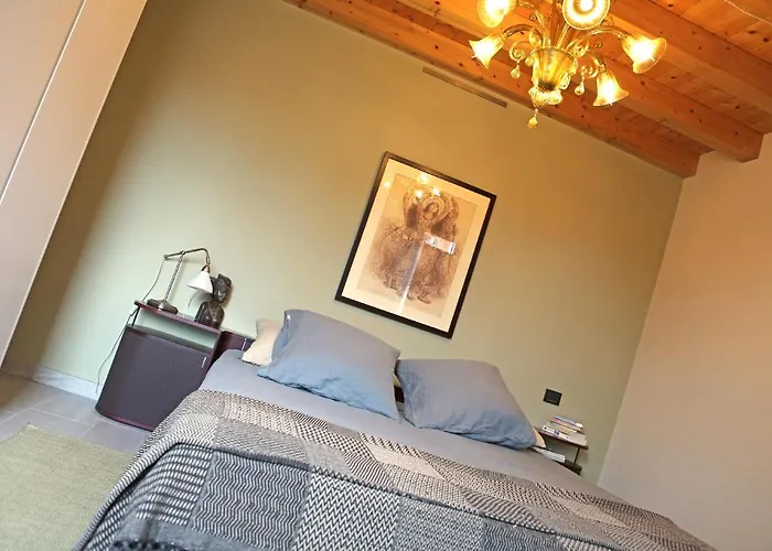 Shuttered Dreams Venice